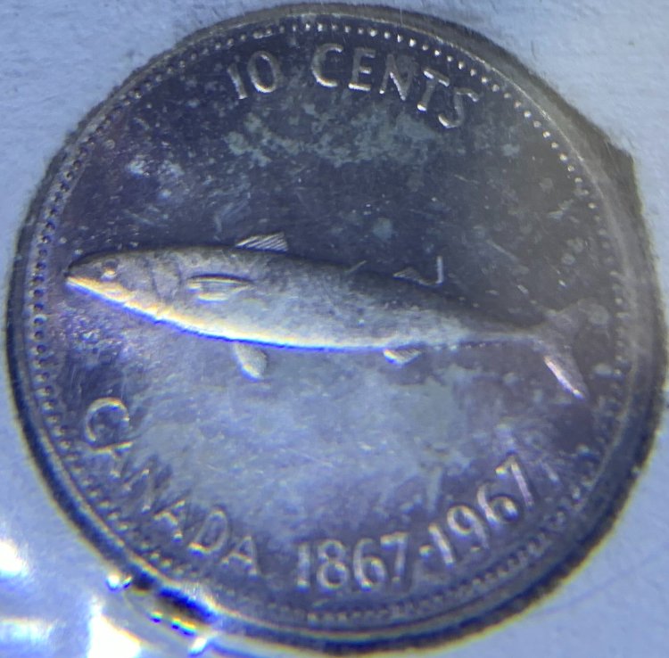 A-Running-Chain-Of-That-Coin-Dude's-World-Coin-Finds.